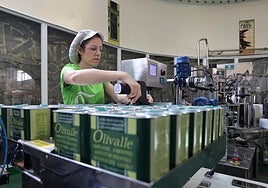 Los Pedroches cosecha éxitos en agricultura y ganadería 'verde'