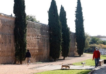 La primera muralla de Córdoba, en el objetivo de los expertos: tres kilómetros y por el Parque Cruz Conde