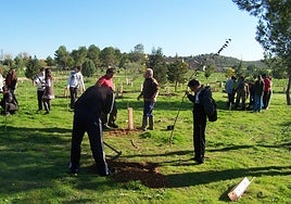 Abierto el plazo de inscripción para la Jornada de Plantación Participativa en la finca 'El Borril'