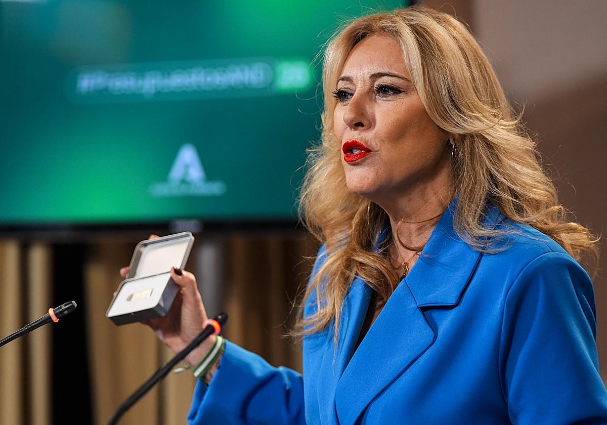 Carolina España, consejera de Economía, ayer