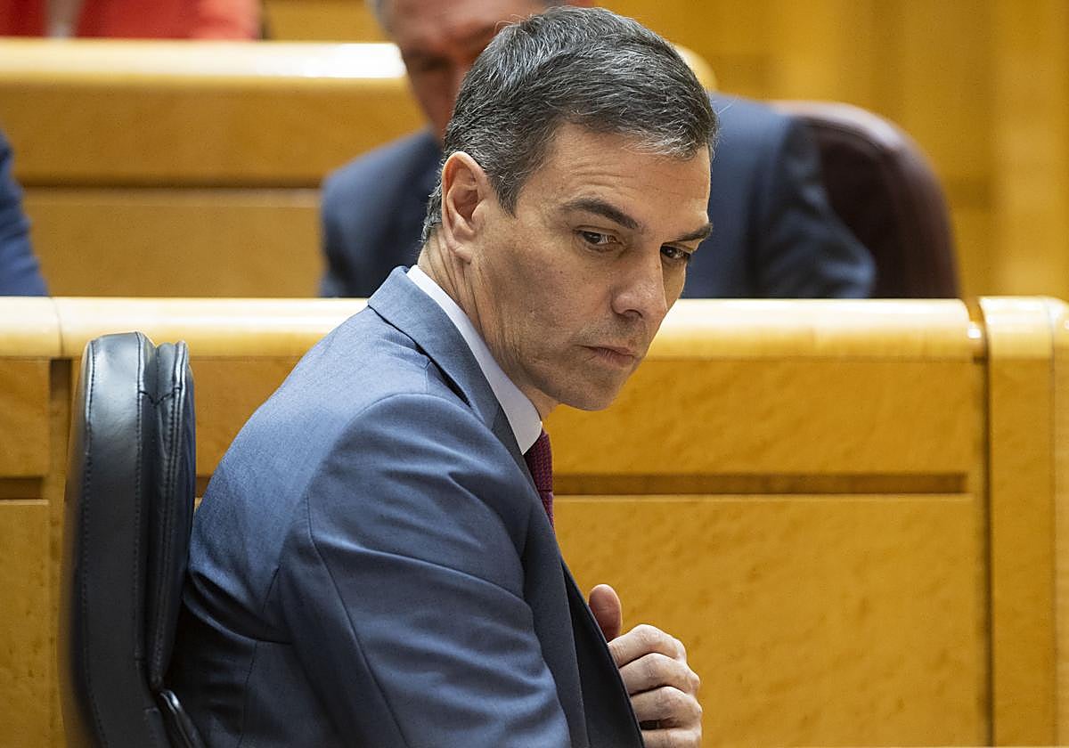 Pedro Sánchez en el Senado, en una imagen de archivo