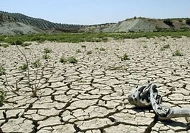 Más de 5.500 agricultores de Castilla-La Mancha se beneficiarán de las ayudas a la sequía que ascienden a casi seis millones
