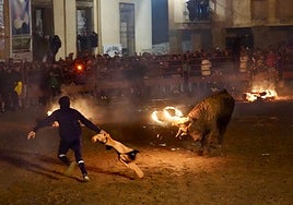La prohibición de mover ganado deja en el aire la celebración del Toro Jubilo en Medinaceli