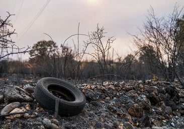 El 54% de los fuegos de 2025 han sido intencionados y abrasado cerca de 38.000 hectáreas