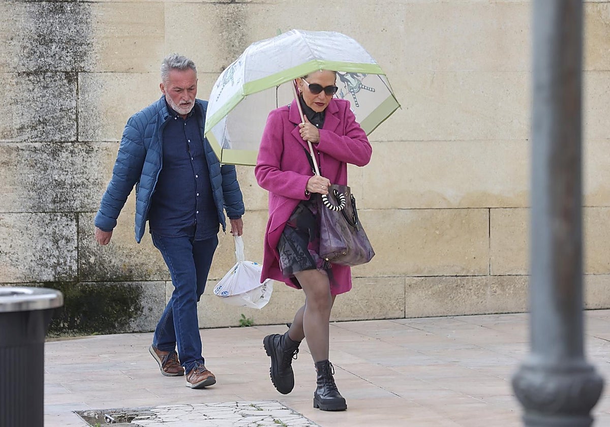 Las lluvias harán acto de presencia a partir del miércoles próximo según la Aemet