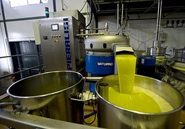 Los aranceles de Trump se dejan notar ya con una bajada del 9% de las ventas de aceite de Córdoba a EE.UU.