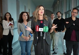 El PSOE andaluz equipara el caso de los cribados a la tragedia de los 229 muertos de la dana de Valencia