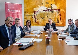 Los Premios Cámara reconocen en Alicante a Aiscan, Avincis, Bardisa, José Borrell, Low World Travel y Suchiar