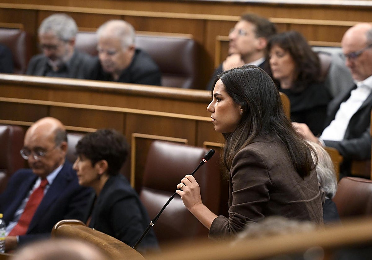 La portavoz de Vox en el Congreso, Pepa Millán