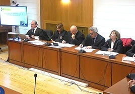 Responsables de Endesa niegan que incorporaran a Collosa en el negocio eólico por imposición de la Junta