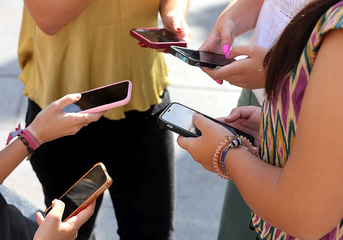 La plataforma se puede descargar en los teléfonos móviles como aplicación