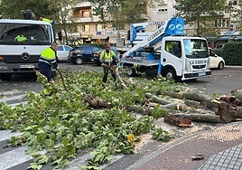 El temporal causa estragos en Extremadura: calles anegadas, clases suspendidas y parques cerrados