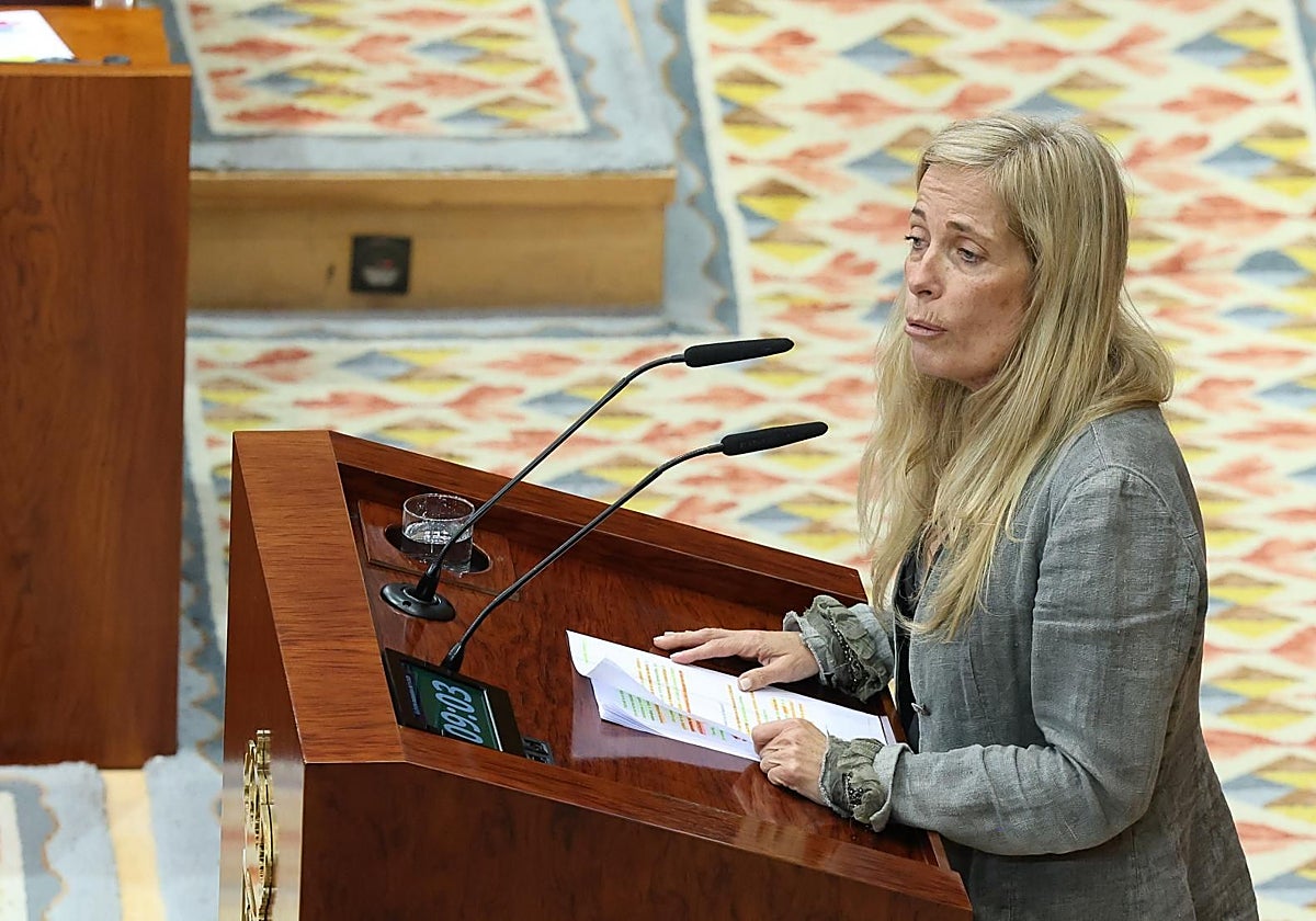 La consejera de Economía y Hacienda, Rocío Albert, en el Pleno de la Asamblea