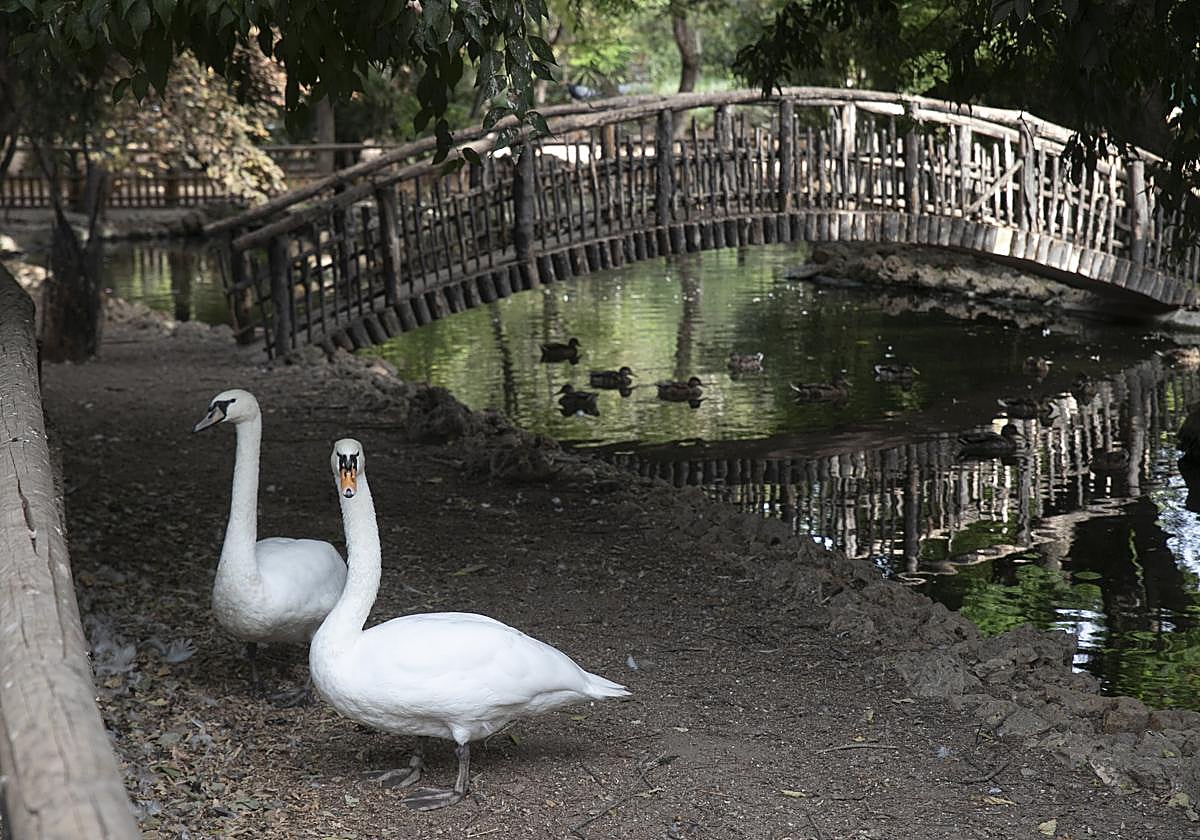 Aves en el Zoo de Córdoba