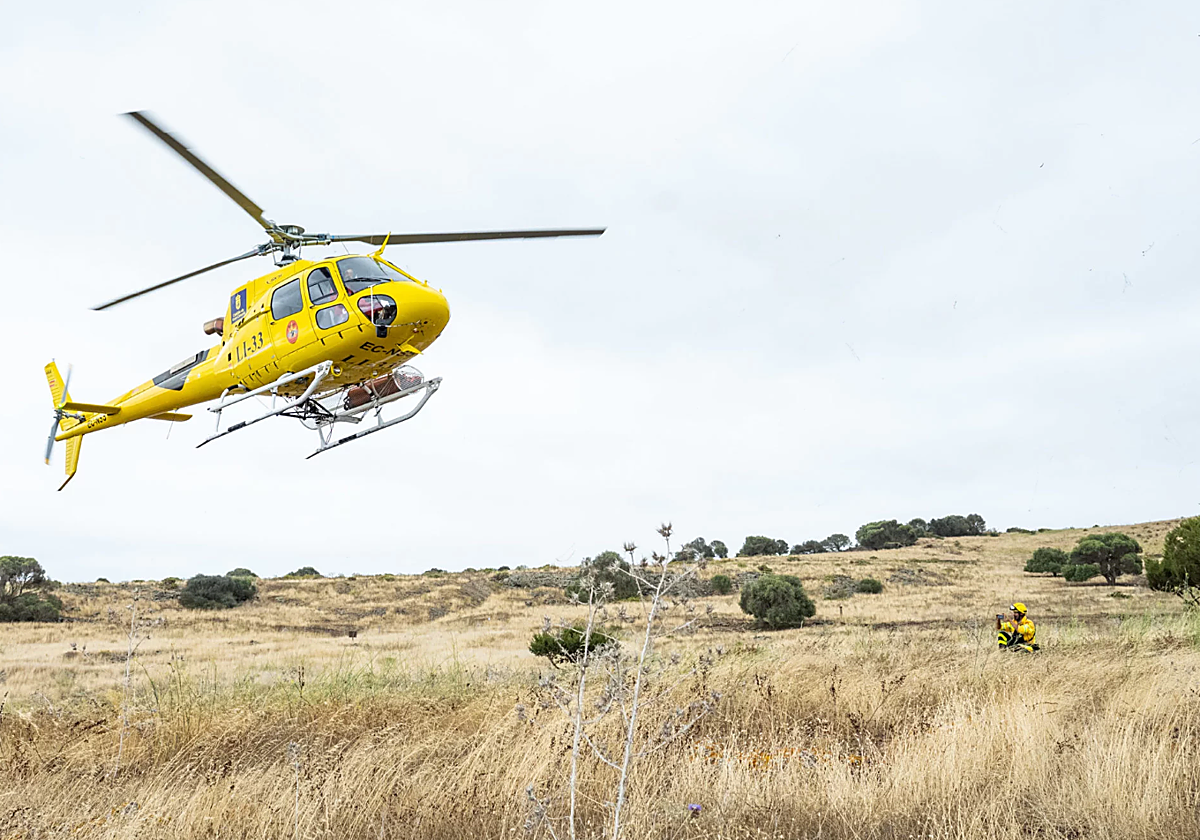 Estabilizado un incendio forestal en el barranco de Azuaje, Moya (Gran Canaria)