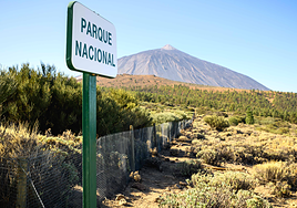 Registran un evento sísmico de largo período al suroeste de Las Cañadas del Teide (Tenerife)