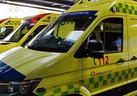 Al menos tres heridos en una pelea multitudinaria en la localidad zamorana de Benavente