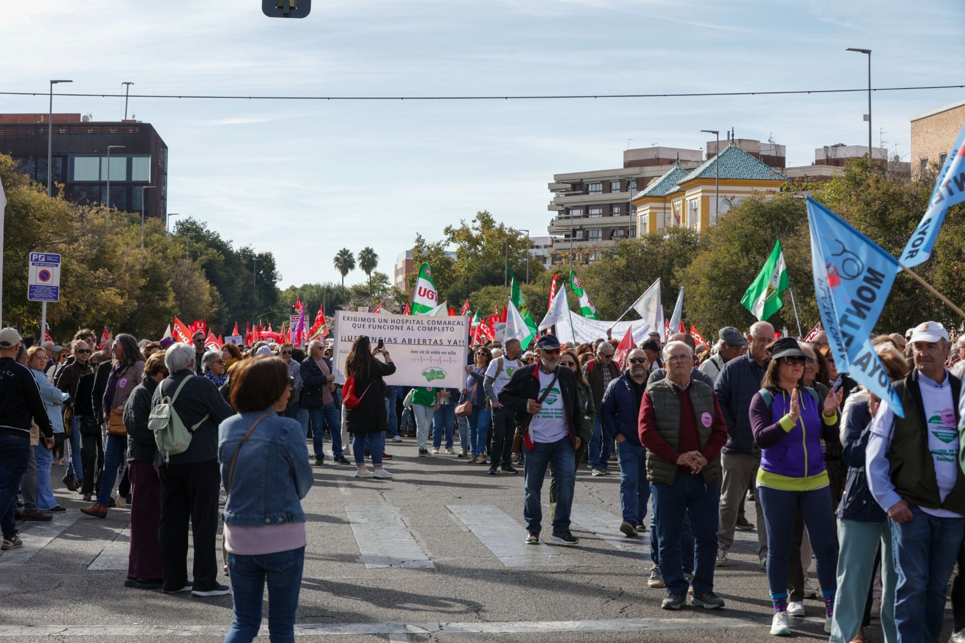 La manifestación por la sanidad pública en Córdoba, en imágenes