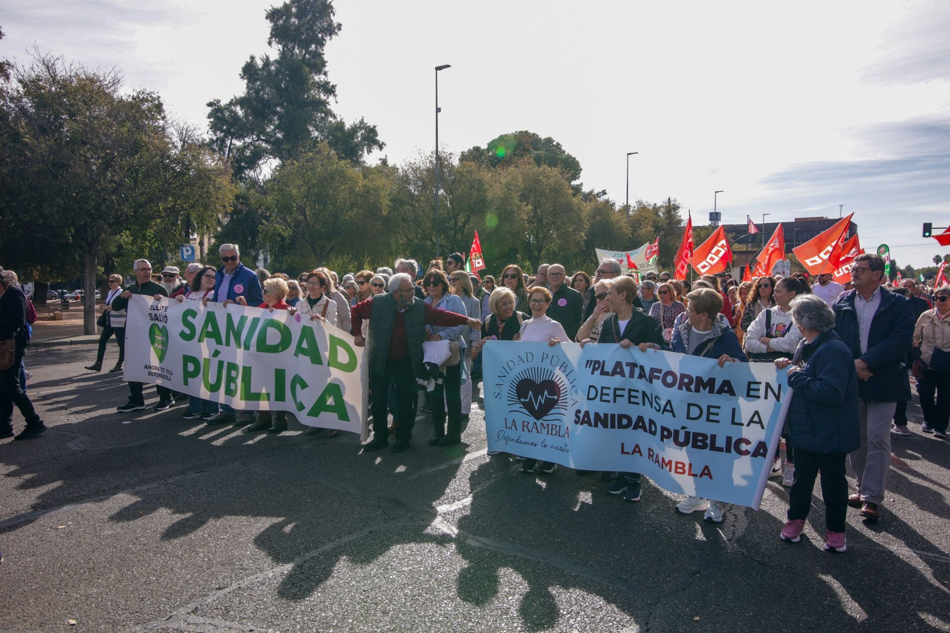 La manifestación por la sanidad pública en Córdoba, en imágenes