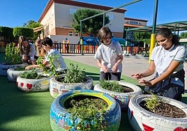 Alumnos de Alicante toman la iniciativa para combatir el cambio climático desde las aulas