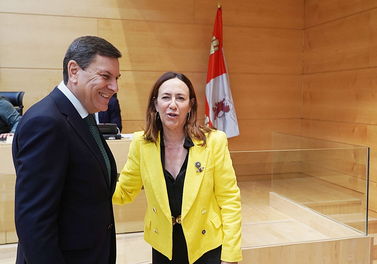 El consejero de Economía y Hacienda, Carlos Fernández Carriedo, y la portavoz parlamentaria del PSOE en esta materia, Rosa Rubio