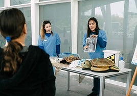 La Fundación Oceanogràfic presenta una programación científica y educativa en la Semana de la Ciencia
