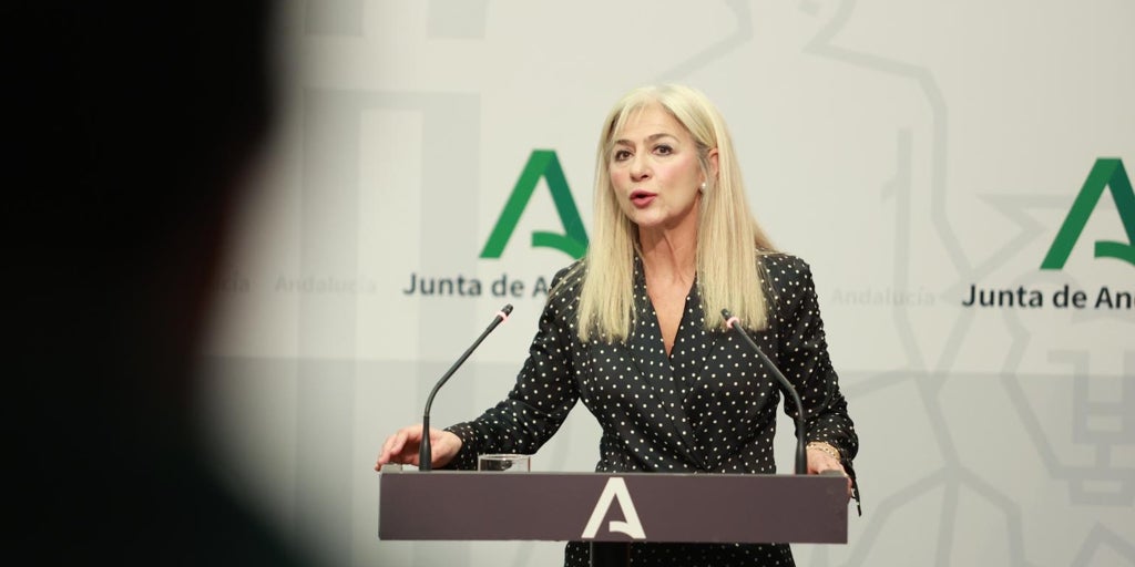 La nueva Ley de Patrimonio de Andalucía incluye también la riqueza paleontológica y audiovisual