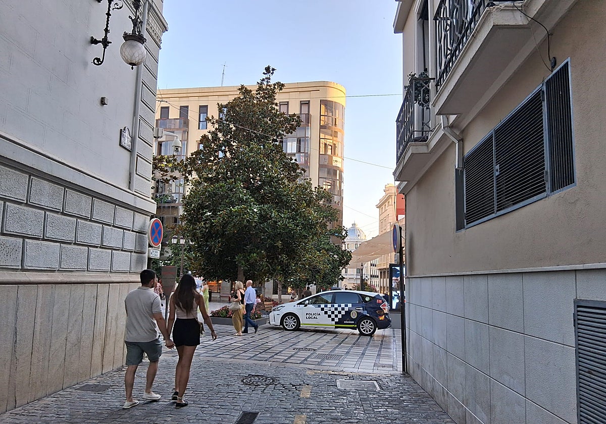 Un coche de la Policía Local de Granada, junto a la puerta del Ayuntamiento