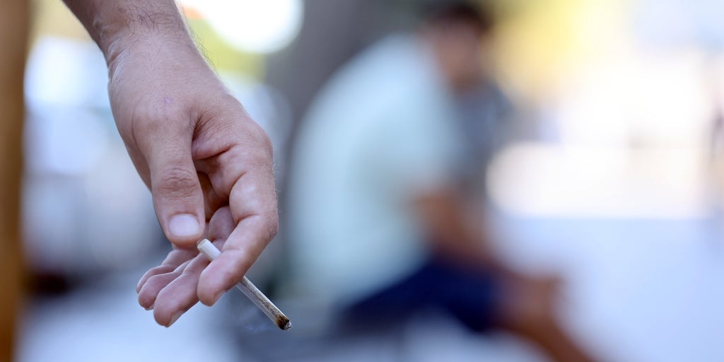 Desmanteladas seis fábricas clandestinas de tabaco durante la primera mitad del año