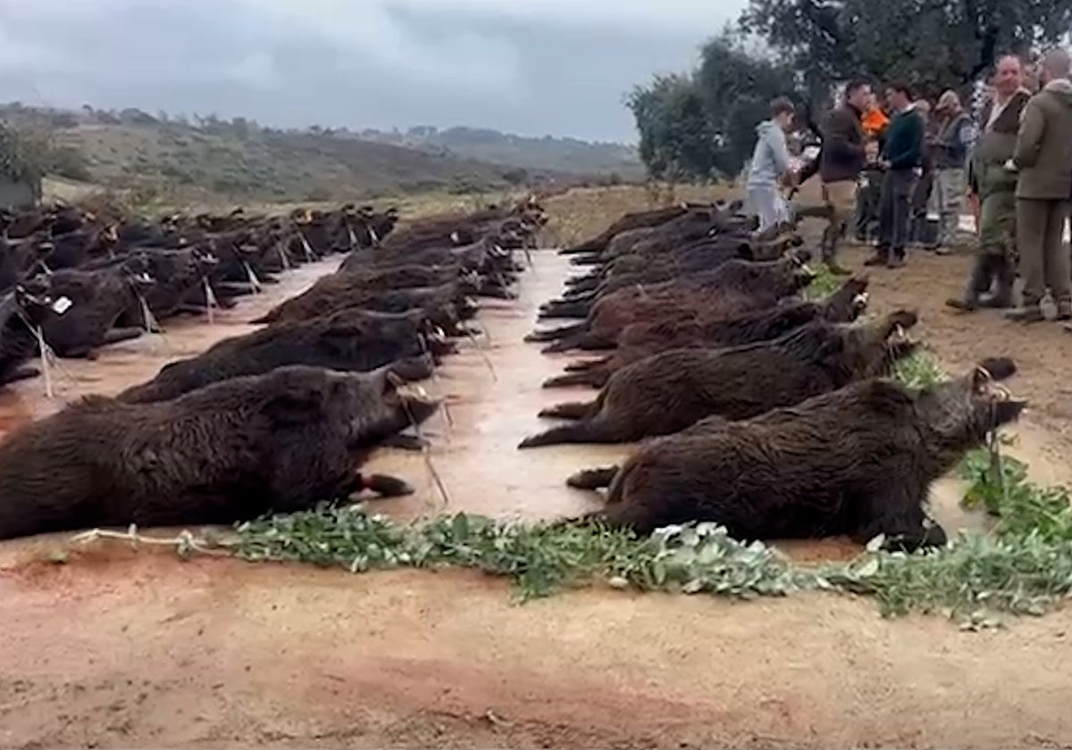 Claudio Riivas, segundo a la derecha, observa los ejemplares cazados en la montería del 1 de noviembre