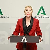 La consejera de Economía y Hacienda, Carolina España, ayer