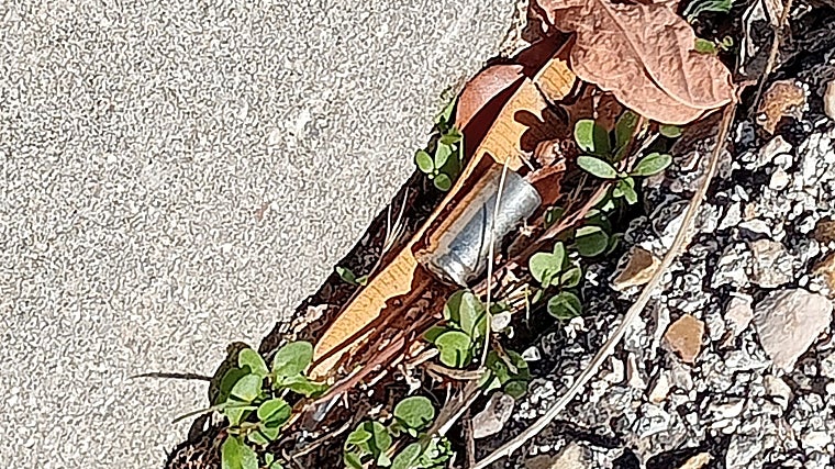 Ainda restam cartuchos da batalha que começou