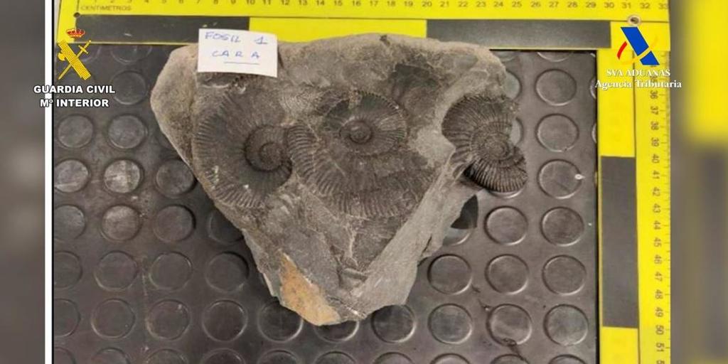 Intervienen en el aeropuerto de Bilbao bienes arqueológicos y paleontólogicos de México y Ecuador