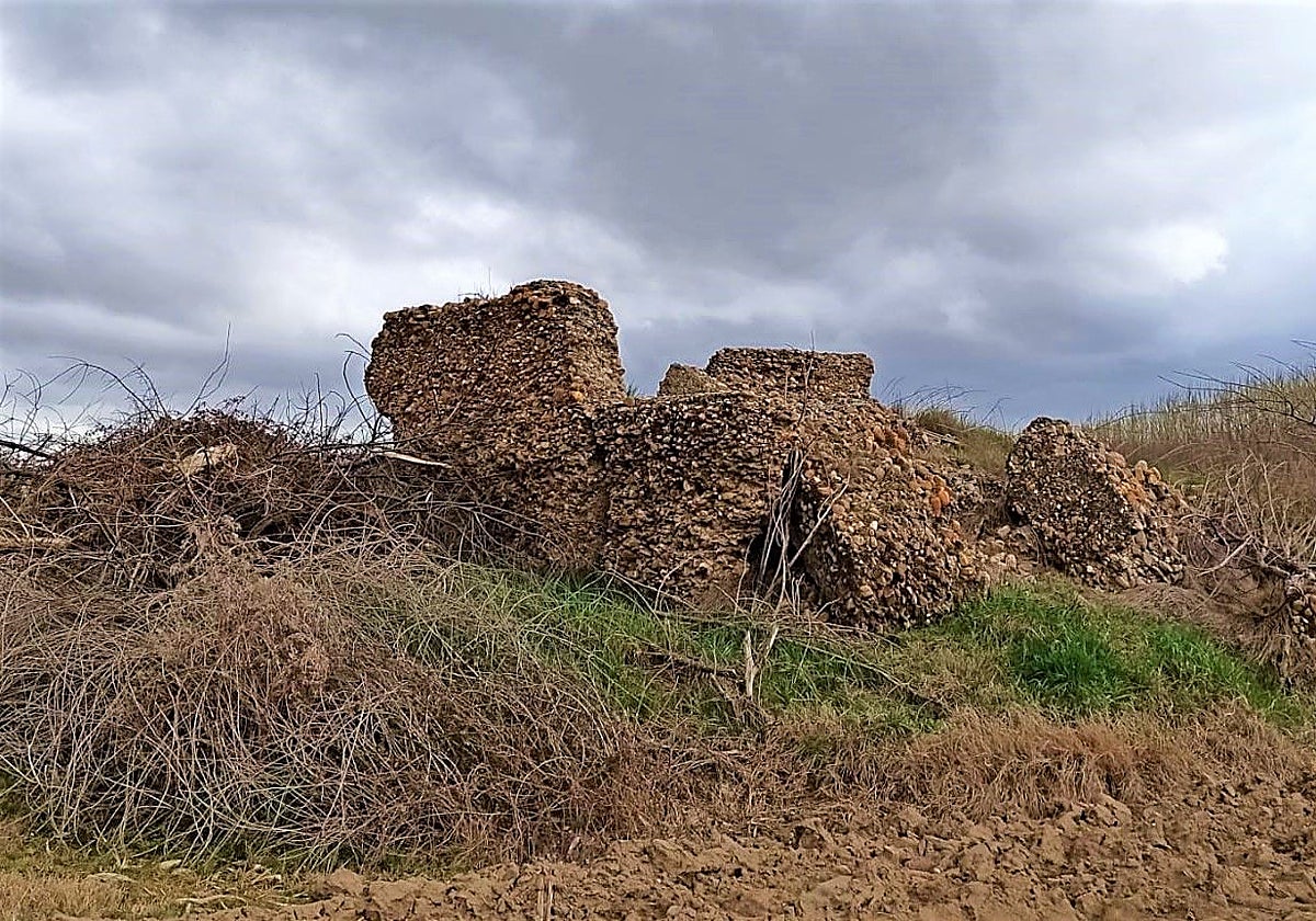 Ruinas del castillo de Torre Mocha, en Pelabravo (Salamanca)