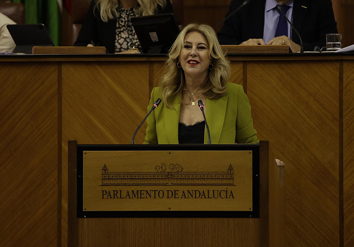 La consejera de Economía, Carolina España, durante su intervención en el pleno