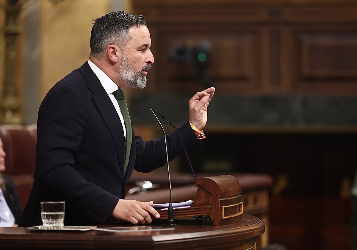 El presidente de Vox, Santiago Abascal, durante una sesión de control al Gobierno, en el Congreso de los Diputados