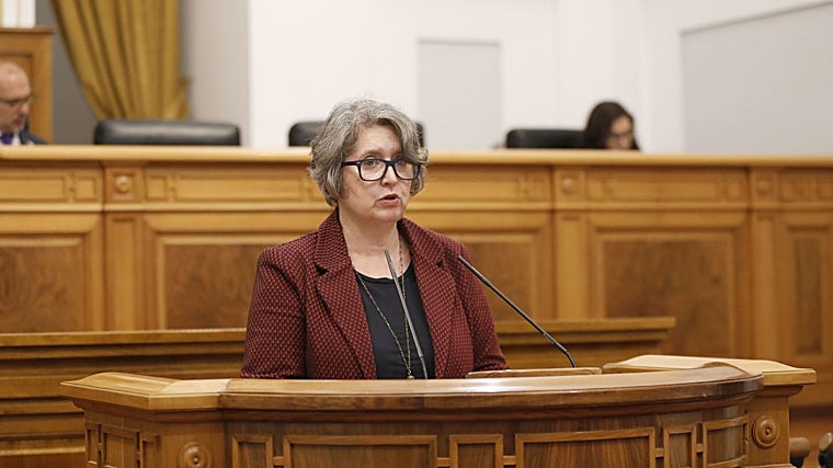 Mercedes Gómez, consejera de Desarrollo Sostenible