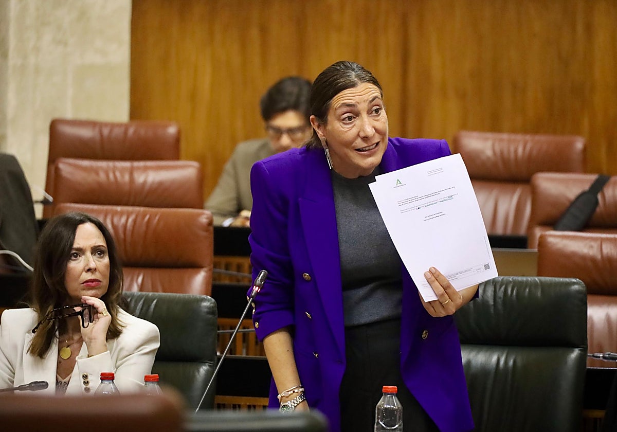 Loles López muestra en el Parlamento los informes de las trabajadoras del centro andaluz de atención a la mujer