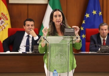 Paula Badanelli (Vox), a Antonio Hurtado (PSOE), en el Pleno: «Eres un nazi»