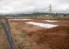 La Junta de Andalucía niega «inactividad» sobre los restos de la Ronda Norte para su protección y contrata más mejoras