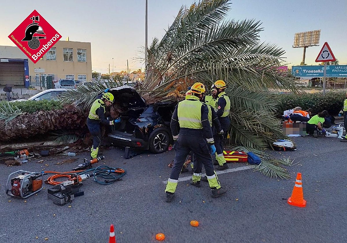 Muere un joven de 22 años tras caer una palmera sobre su coche en Torrevieja