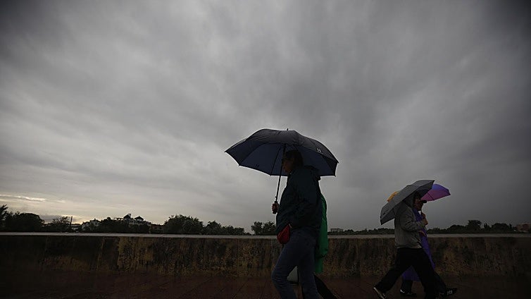 La borrasca Claudia deja ya más de 500 incidencias en Andalucía