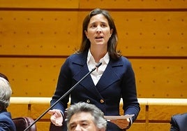 El PP asegura que «el Gobierno del PSOE lleva dos años mintiendo sobre el futuro de la N-432 en la provincia de Córdoba»