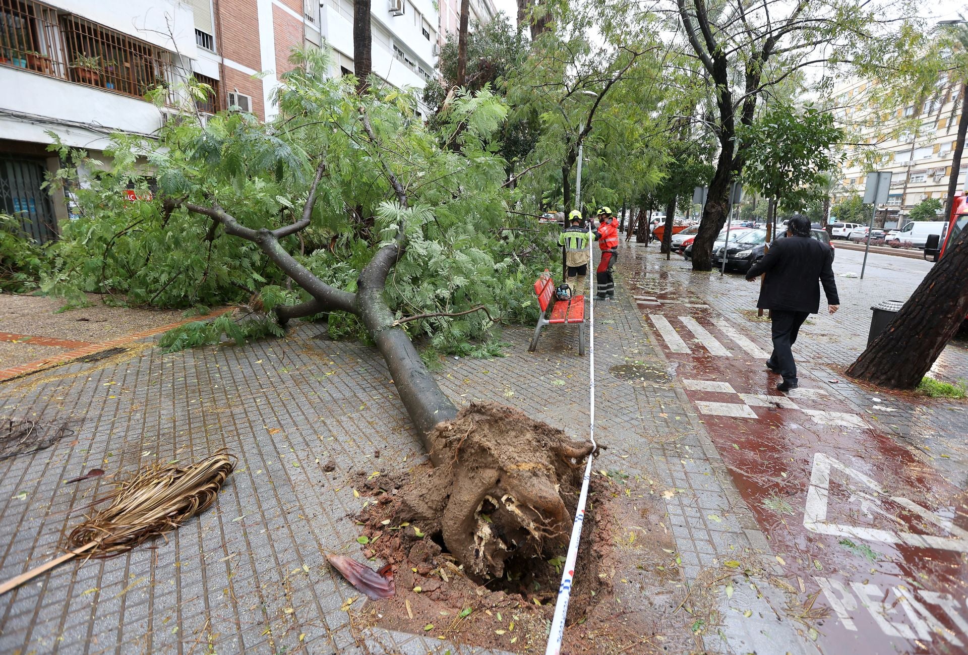 Los efectos de la borrasca Claudia en el Sector Sur de Córdoba, en imágenes