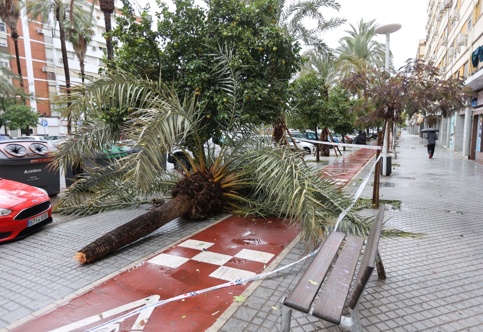 Los efectos de la borrasca Claudia en el Sector Sur de Córdoba, en imágenes