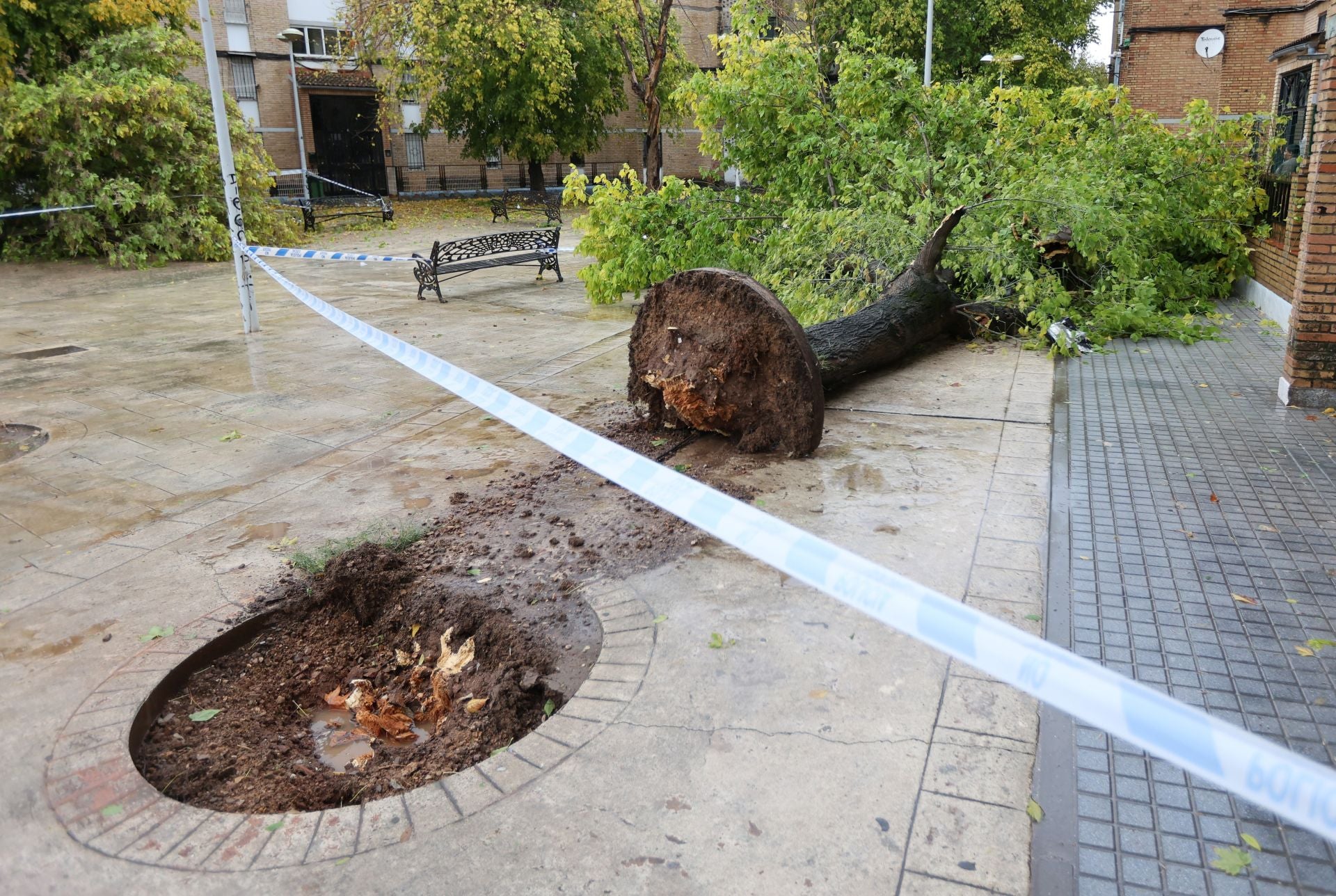 Los efectos de la borrasca Claudia en el Sector Sur de Córdoba, en imágenes