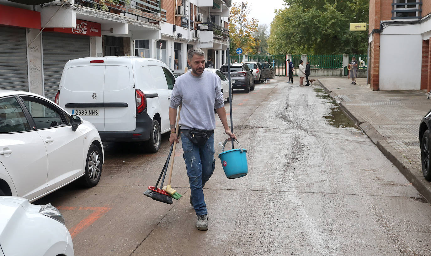 Las tareas de limpieza en avenida del Corregidor tras las fuertes lluvias en Córdoba, en imágenes