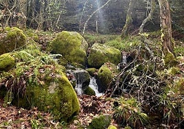 La ruta de senderismo de Zamora con colores de otoño y pasarelas mágicas