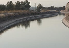 El Gobierno tiene ya en redacción el proyecto para dotar de 6.600 hectáreas de regadío de olivar en la zona del Genil-Cabra