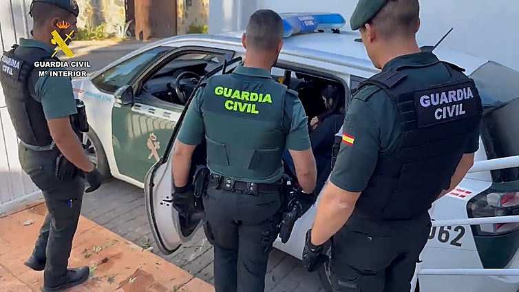 Desmantelan un 'narcochalé' con 600 plantas de marihuana en Chiva